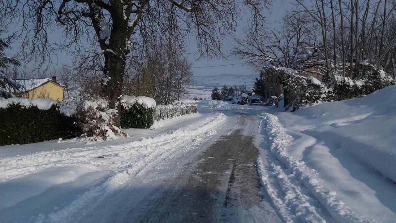 B&B Il Sicomoro Montecarotto Esterno foto